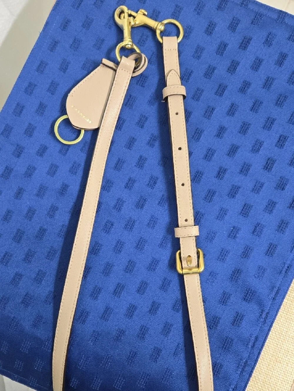 Coach detachable leather